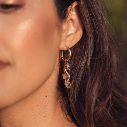 SEAHORSE Earrings