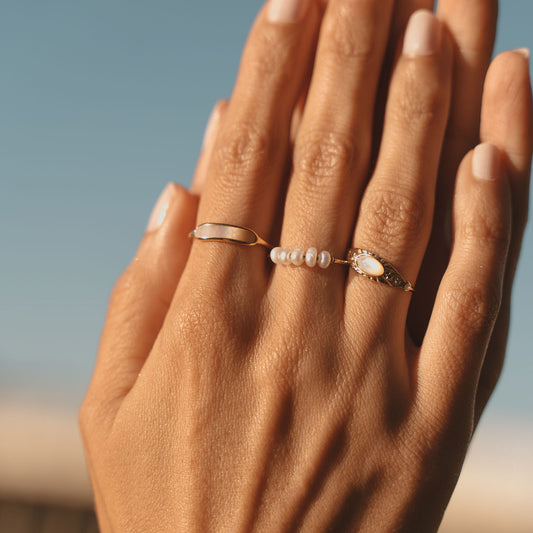 SHELL BAND Ring