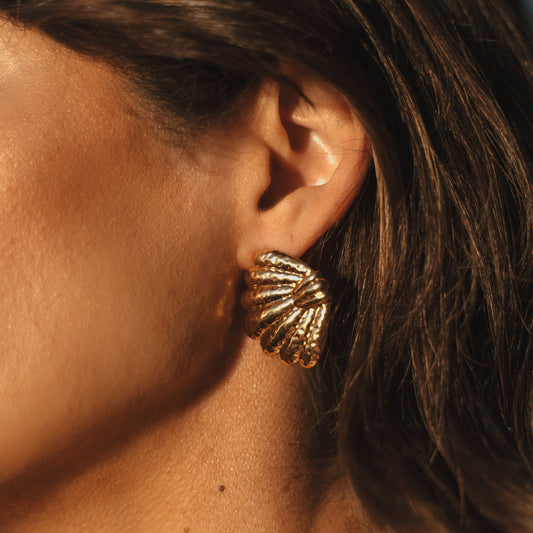 SCALLOP Hoops